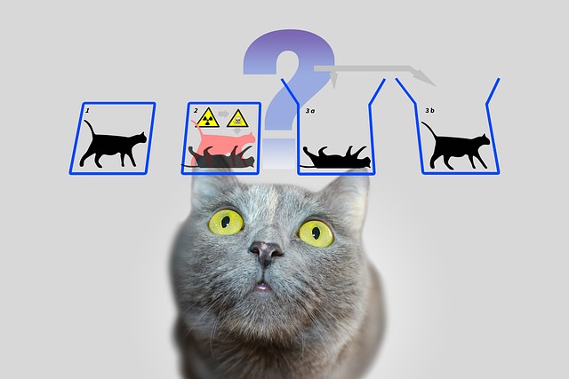 Quantum Mechanics and Schrödinger’s cat